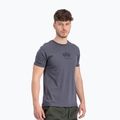 Футболка чоловіча Alpha Industries Basic Mid Logo greyblack/black