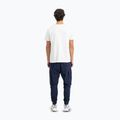 Футболка чоловіча Alpha Industries Hawaii white 3