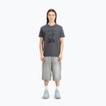 Футболка чоловіча Alpha Industries Hawaii vintage grey 2