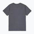 Футболка чоловіча Alpha Industries Hawaii vintage grey 8