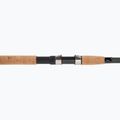 Вудка поплавкова Daiwa Aqualite Tele Float чорна 3