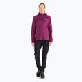 Флісова кофта жіноча Jack Wolfskin Hydro Grid Fleece рожева 1709911 2