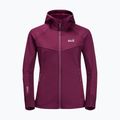 Флісова кофта жіноча Jack Wolfskin Hydro Grid Fleece рожева 1709911 7