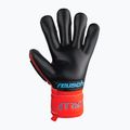 Рукавиці воротарські Reusch Attrakt Freegel Gold Finger Support червоні 5370130-3333 5