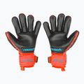 Рукавиці воротарські Reusch Attrakt Freegel Gold Finger Support червоні 5370130-3333 2