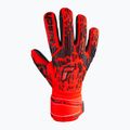 Рукавиці воротарські Reusch Attrakt Freegel Silver Finger Support 5370230-3333 4