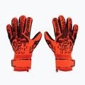 Рукавиці воротарські Reusch Attrakt Freegel Silver Finger Support 5370230-3333