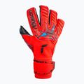 Рукавиці воротарські Reusch Attrakt Gold X Evolution Cut червоні 5370964-3333 4