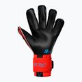 Рукавиці воротарські Reusch Attrakt Gold X Evolution Cut червоні 5370964-3333 5