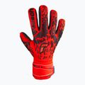 Рукавиці воротарські Reusch Attrakt Freegel Silver червоні 5370235-3333 4