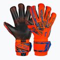 Воротарські рукавиці Reusch Attrakt Gold X Evolution GluePrint hyper orng/elec blue/black