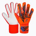 Воротарські рукавиці Reusch Attrakt Starter Solid яскраво-червоні/майбутнє сині