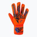 Воротарські рукавиці Reusch Attrakt Starter Solid яскраво-червоні/майбутнє сині 2