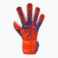 Дитячі воротарські рукавиці Reusch Attrakt Freegel Silver Junior hyper orng/elec сині 2