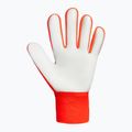 Рукавиці воротарські Reusch Attrakt Starter Solid shocking orange/blue 3