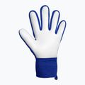 Рукавиці воротарські Reusch Attrakt Starter Solid sharp blue/white/shocking orange 3