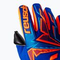 Рукавиці воротарські Reusch Attrakt Freegel Duo NC sharp blue/shocking orange/black 6