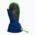 Рукавички лижні дитячі Reusch Maxi R-Tex XT Mitten surf the web/green gecko 3
