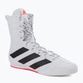 Взуття для боксу  adidas Box Hog 3 біло-чорне GV9975