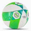 М'яч футбольний ERIMA Hybrid Lite 290 green gecko/petrol розмір 3 2