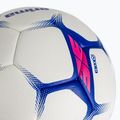 М'яч гандбольний ERIMA Flash Training white/blue розмір 0 3