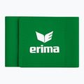 Ремінці на захист для гомілок ERIMA Guard Stays emerald