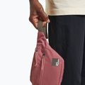 Сумка-бананка Jack Wolfskin Konya Hipbag 2 л mineral red 6