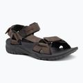 Сандалі чоловічі Jack Wolfskin Lakewood Ride cold coffee