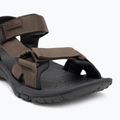 Сандалі чоловічі Jack Wolfskin Lakewood Ride cold coffee 7