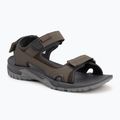 Сандалі чоловічі Jack Wolfskin Lakewood Cruise cold coffee