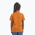 Футболка дитяча Jack Wolfskin Graphic Cotton T print soft amber 6