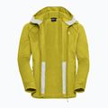 Кофта трекінгова чоловіча Jack Wolfskin Peak District Hooded Full Zip chartreuse 9