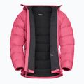 Пуховик жіночий Jack Wolfskin Ather Down Hoody bubblegum 9