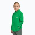 Дитяча флісова кофта Jack Wolfskin Taunus mystic green 10