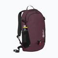 Рюкзак Jack Wolfskin Velocity 20 л амарант 2