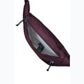Сумка-банан Jack Wolfskin Konya Hipbag 2 л амарант 4