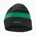 Дитяча зимова шапка Jack Wolfskin Stripy Knit slate green/mystic