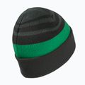 Дитяча зимова шапка Jack Wolfskin Stripy Knit slate green/mystic 2