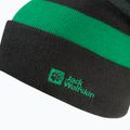 Дитяча зимова шапка Jack Wolfskin Stripy Knit slate green/mystic 3