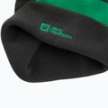 Дитяча зимова шапка Jack Wolfskin Stripy Knit slate green/mystic 5