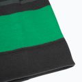 Дитяча зимова шапка Jack Wolfskin Stripy Knit slate green/mystic 6