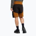 Взуття трекінгове чоловіче Jack Wolfskin Apex Hike Texapore Low black 9