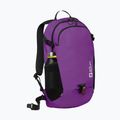 Рюкзак Jack Wolfskin Velocity 20 л freesia 2