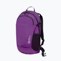 Рюкзак Jack Wolfskin Velocity 20 л freesia 4