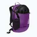Рюкзак Jack Wolfskin Velocity 20 л freesia 9
