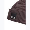 Шапка зимова Jack Wolfskin Pergamon Beanie sheer plum 3