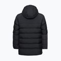 Куртка утеплена чоловіча Jack Wolfskin Icy Hollow Hooded phantom 9