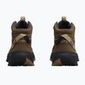 Взуття туристичне жіноче Jack Wolfskin Wild Hike Texapore Mid fawn 3