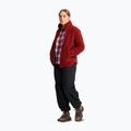 Взуття туристичне жіноче Jack Wolfskin Wild Hike Texapore Mid fawn 7