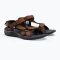 Сандалі трекінгові чоловічі Jack Wolfskin Lakewood Ride коричневі 4019021_5311 4